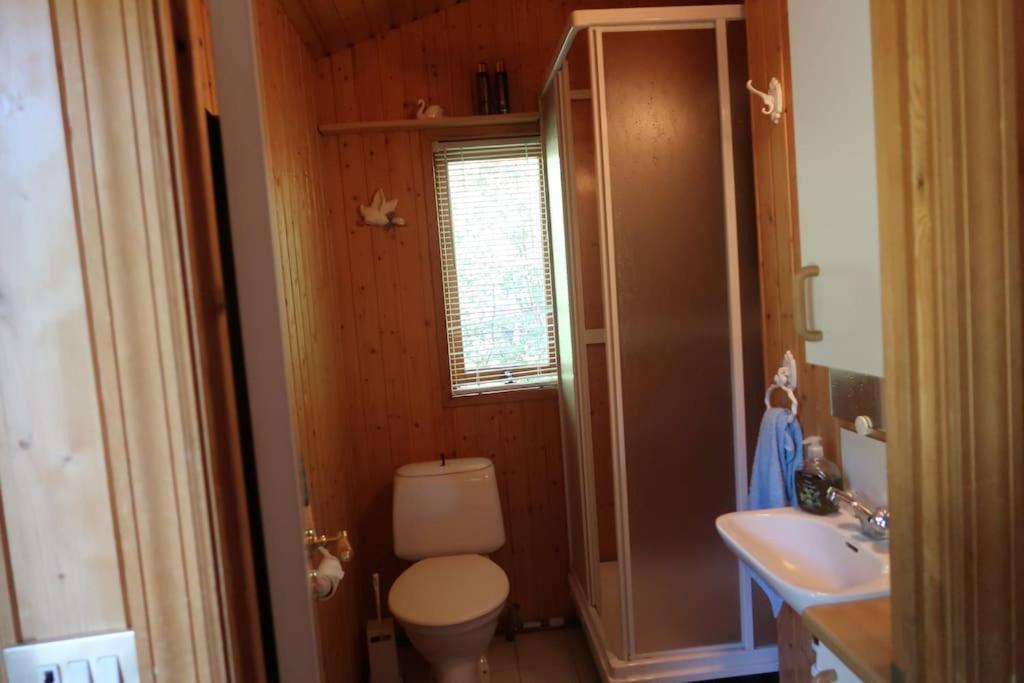 Cottage With Hot Tub In Beautiful Surroundings Hroarsstathir Экстерьер фото